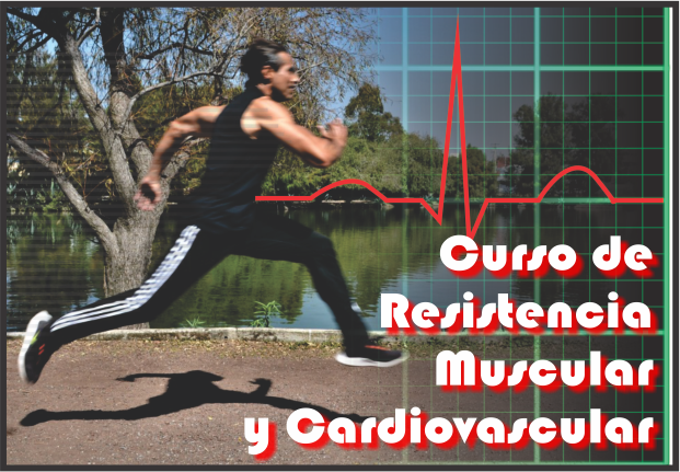 Curso de Resistencia muscular y cardiovascular