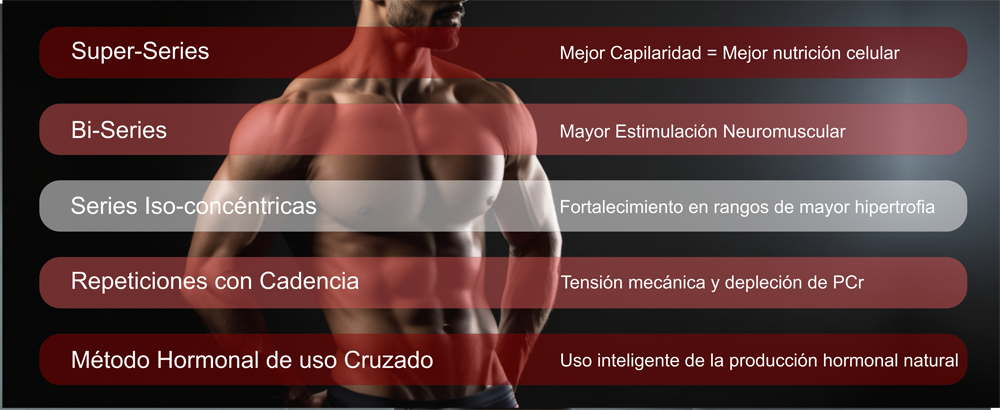 Métodos de entrenamiento y sus beneficios