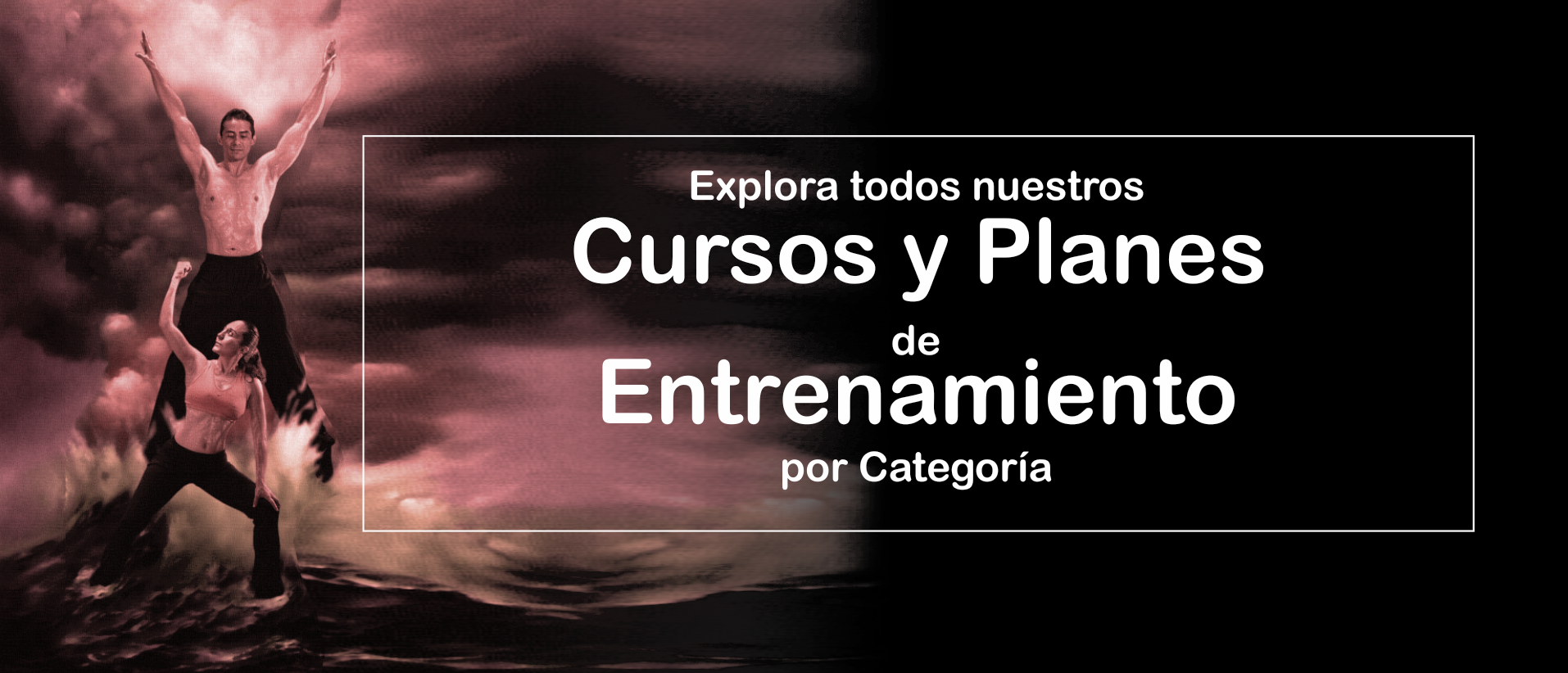 Explora todos nuestros cursos y planes de entrenamiento