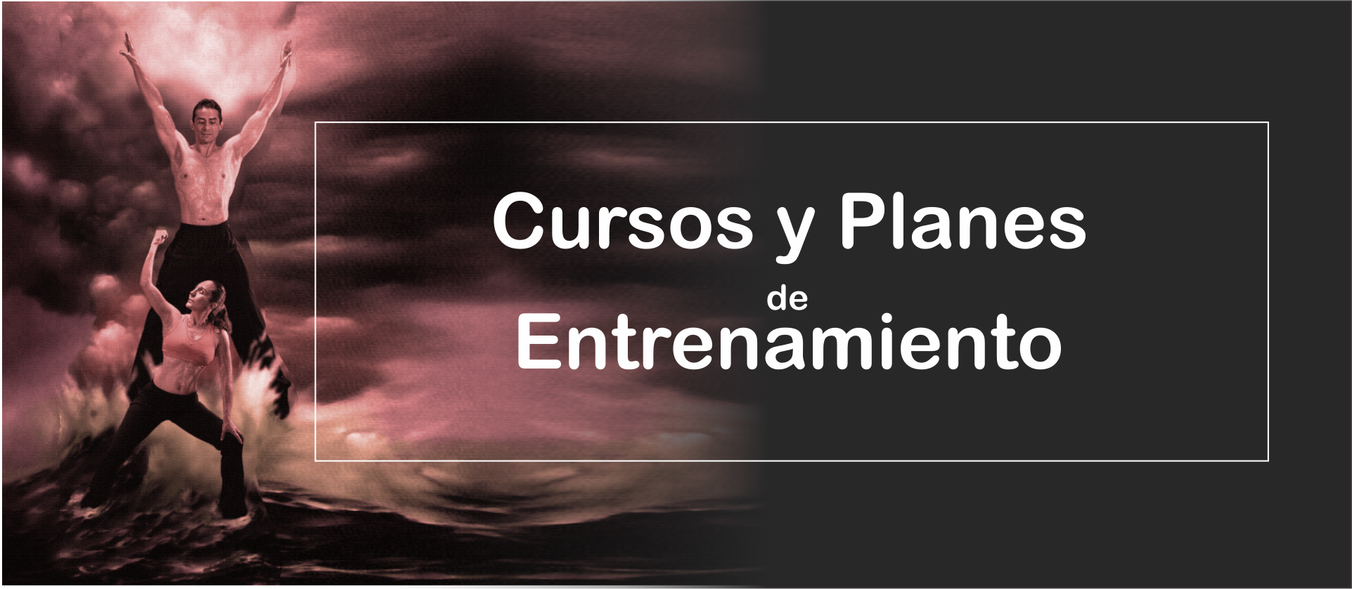 Cursos y Planes de Entrenamiento