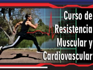 Curso-Resistencia_LMS