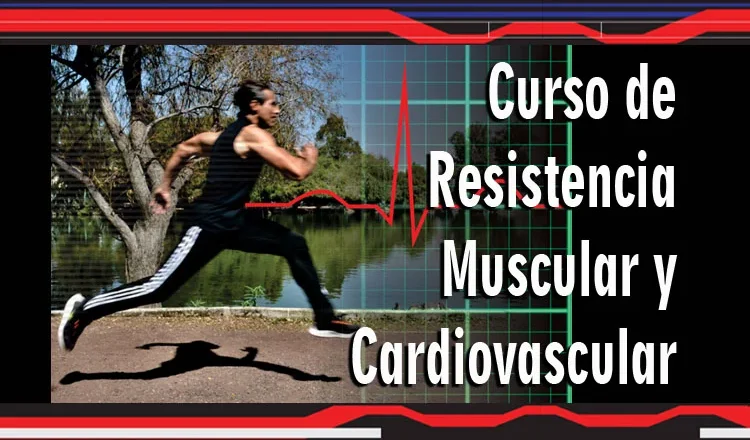 Curso-Resistencia_LMS